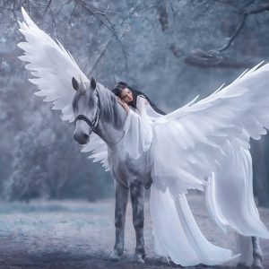 پوستر دیواری فرشته سوار بر اسب