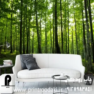 چاپ پوستر دیواری جنگل انبوه و سبز